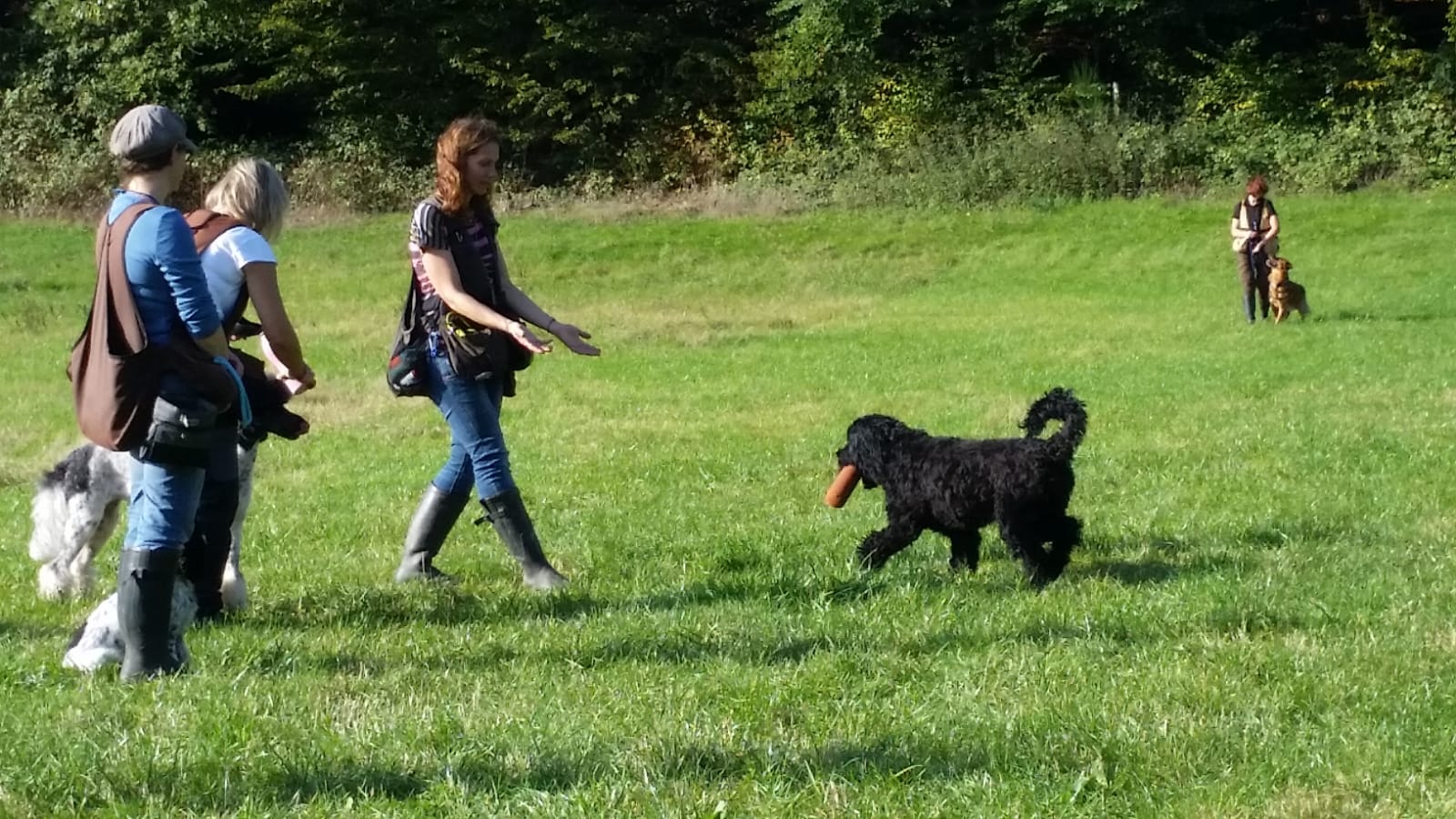 a870813e 7db0 4c9a 8270 08acf44e9314 copy