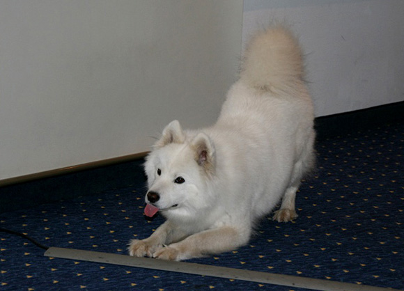 bericht-sommerweiterbildung2011-1