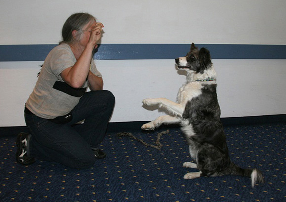 bericht-sommerweiterbildung2011-3