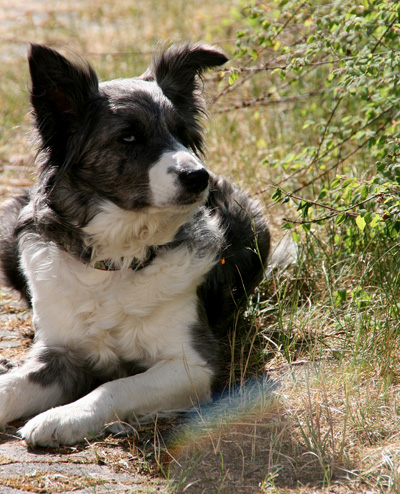 bericht-sommerweiterbildung2011-5