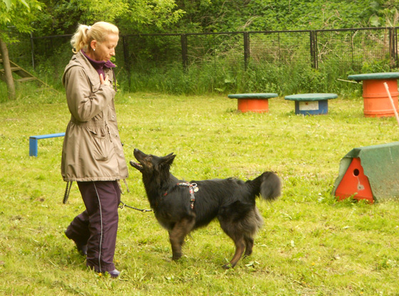 hfs-pruefung_berlin_2012-05_2