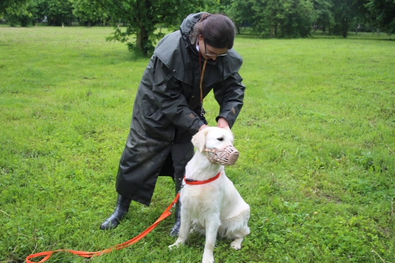 Hundeführerscheinprüfung - 18.05.2013 in Leipzig