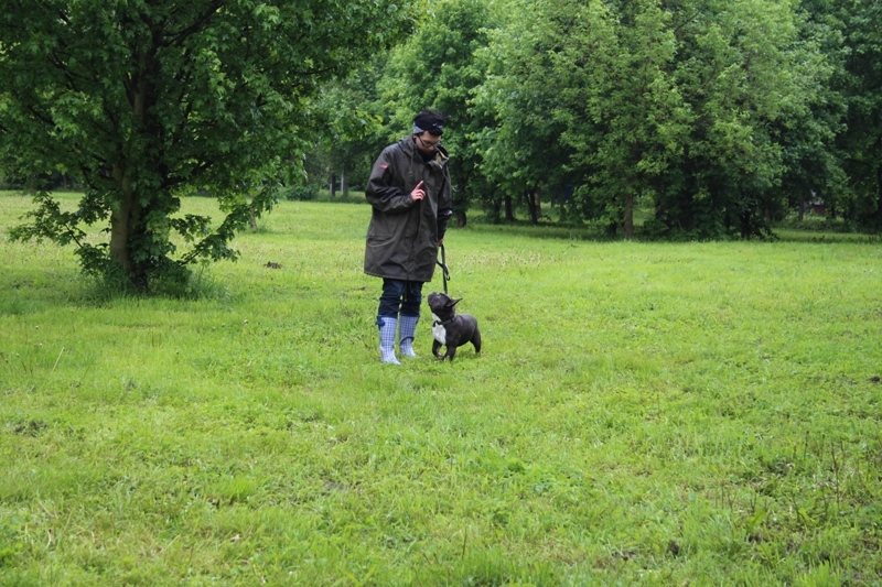 Hundeführerscheinprüfung - 18.05.2013 in Leipzig