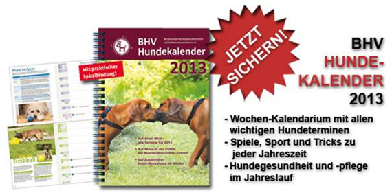 bhv-hundekalender-2013