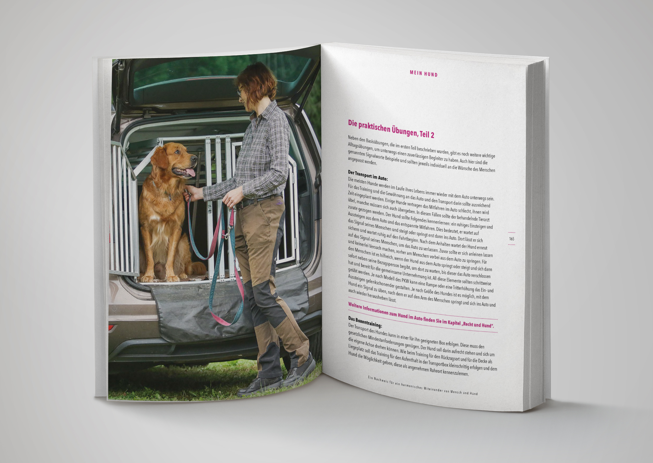 hfs buch inside 4 Kopie