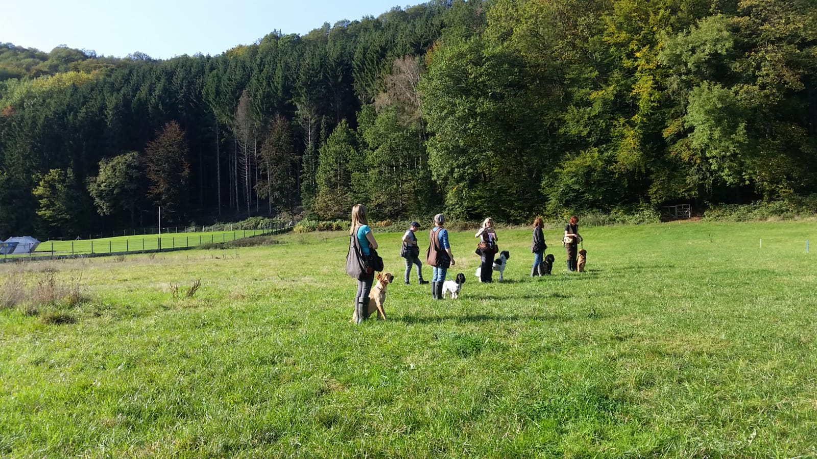 b9736ff2 3d80 4552 9897 901817d654b6